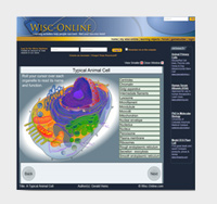 (Property of WISC-Online Learning Object Repository)